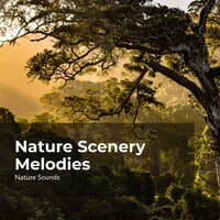 Nature Scenery Melodies