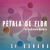 Pétala de Flor