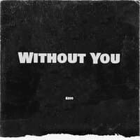 Without You