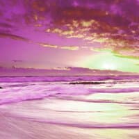 Purple Sunset