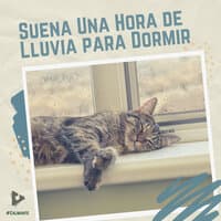 Suena Una Hora de Lluvia para Dormir