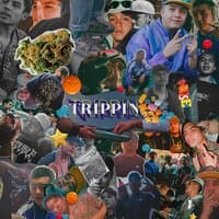 Trippin (TRAXXX X CHAIN X ANTAGONIST)