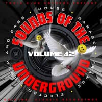 Toxic Club Anthems Present - Sounds Of The Underground, Vol. 42