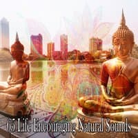 65 Life Encouraging Natural Sounds