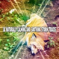 38 Naturally Calming and Soothing Storm Tracks