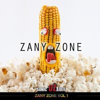 Zany Zone,  Vol.1