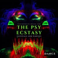 The Psy Ecstasy - Psychedelic Music for Festivals and Parties