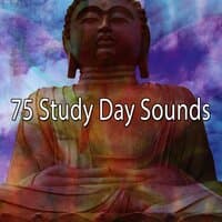 75 Study Day Sounds