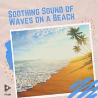 Soothing Sound of Waves on a Beach