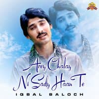 Arey Chalay Ni Sady Haan Te - Single