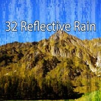 32 Reflective Rain