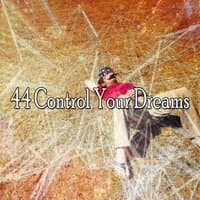 44 Control Your Dreams