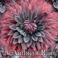 26 Ambient Rain