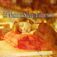 65 Natural Sleep Induction