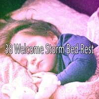 38 Welcome Storm Bed Rest