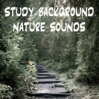 Study Background Nature Sounds