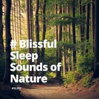 # Blissful Sleep Sounds of Nature