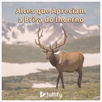 Alces que Apreciam a Brisa do Inverno