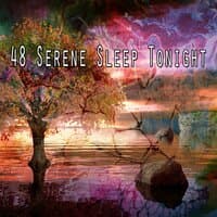 48 Serene Sleep Tonight