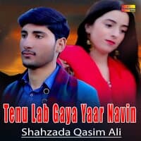 Tenu Lab Gaya Yaar Navin - Single