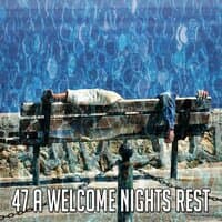 47 A Welcome Nights Rest