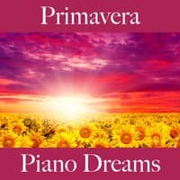 Primavera: Piano Dreams - A Melhor Música Para Relaxar