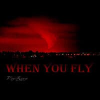 When You Fly