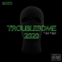 Troublesome 2020