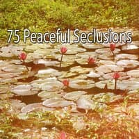 75 Peaceful Seclusions