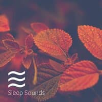 Static Various Sleep Brown Calming Deep Sleep Noises