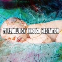 74 Revolution Through Meditation