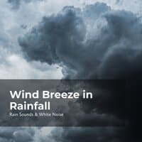 Wind Breeze in Rainfall