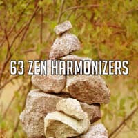 63 Zen Harmonizers