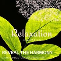 Reveal the Harmony - Calming Music for Stress Reduction