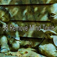 58 Remove Mind Toxin