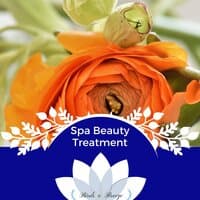 Spa Beauty Treatment