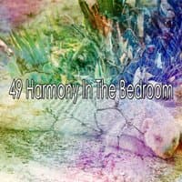 49 Harmony in the Bedroom