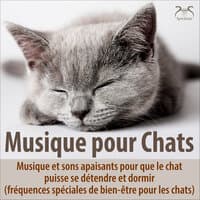 Musique pour chats - Musique et sons apaisants pour que le chat puisse se détendre et dormir (fréquences spéciales de bien-être pour les chats)