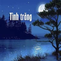 Tình trăng