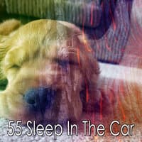 55 Sleep in the Car