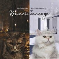 Кошачья баллада