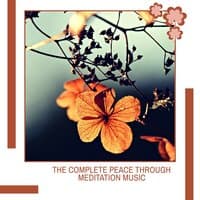 The Complete Peace Through Meditation Music