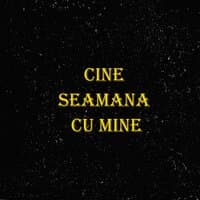 Cine seamana cu mine