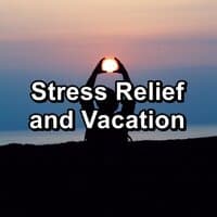 Stress Relief and Vacation