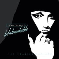 Unbreakable: The Fragile Remixes