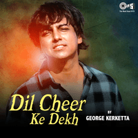 Dil Cheer Ke Dekh