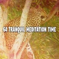 64 Tranquil Meditation Time