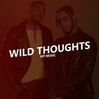 Wild Thoughts