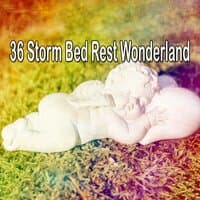 36 Storm Bed Rest Wonderland