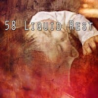 58 Liquid Rest